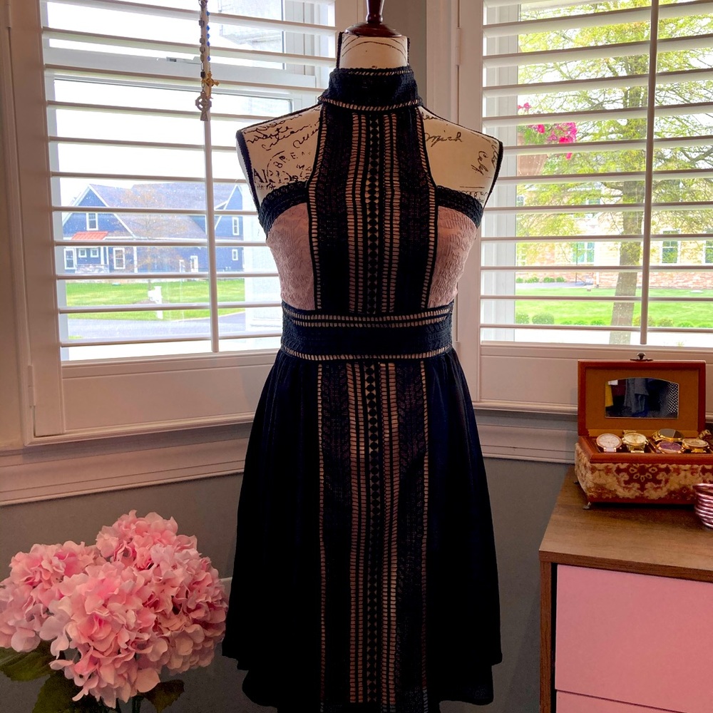Venus Black and Rose Lace Dress